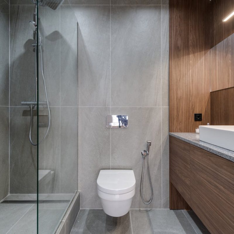 toilet clog repair